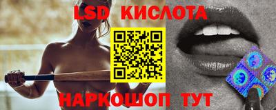 СК Ярославль