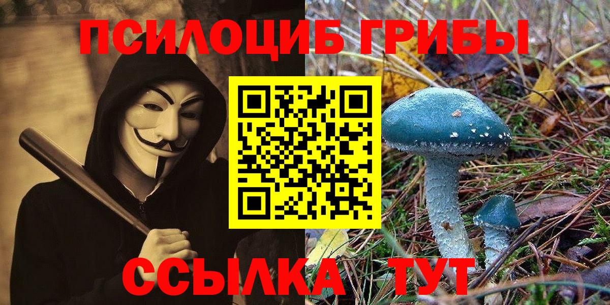 Псилоцибиновые грибы мухоморы  Вход с VPN  купить  сайты  Нерюнгри 